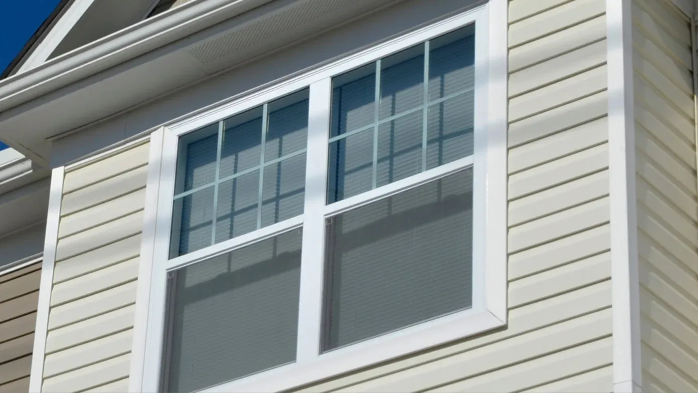 windows